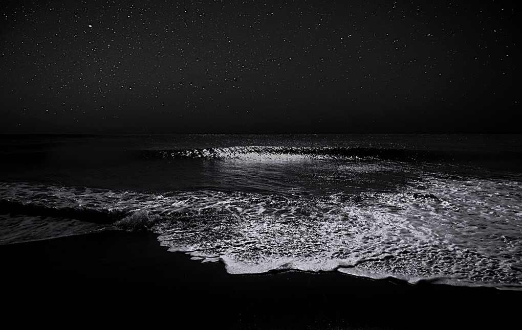 The Sea, The Night, The Stars, The Light