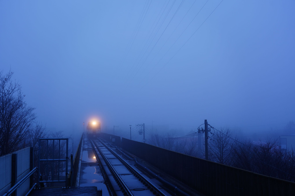 霧の中から姿を現す列車