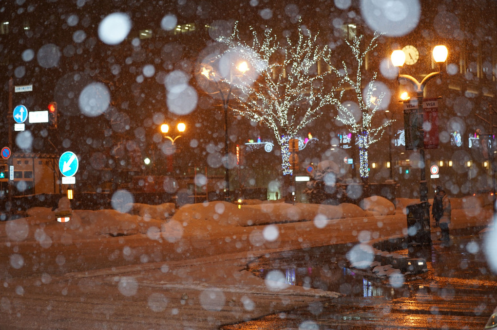 雪の札幌市街