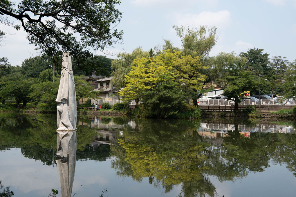 石神井公園