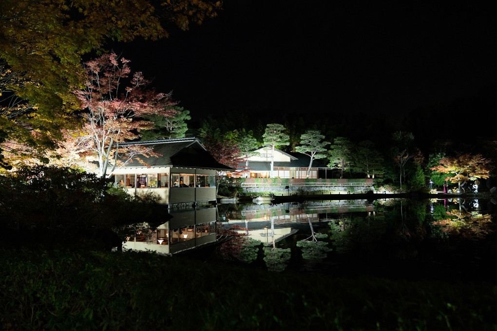 昭和記念公園　日本庭園