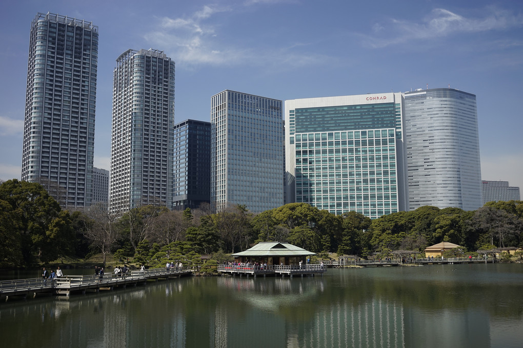 浜離宮恩賜公園2015-03-28(1)