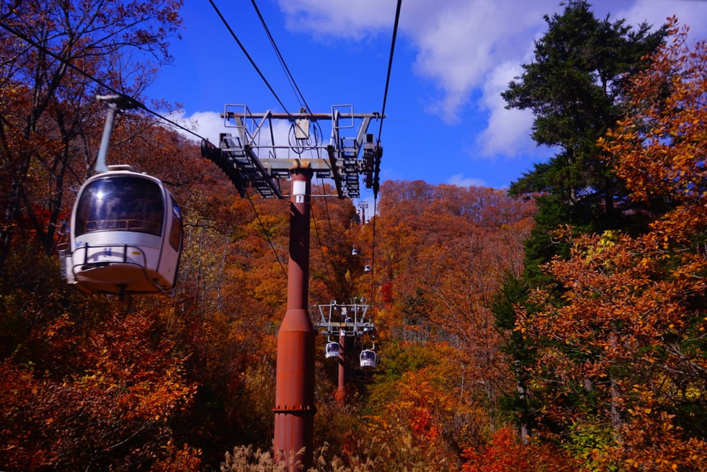 秋山の紅葉