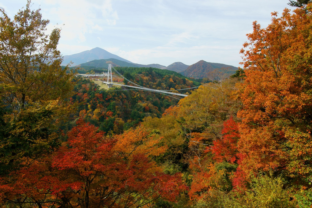 2016紅葉の九重夢大吊橋