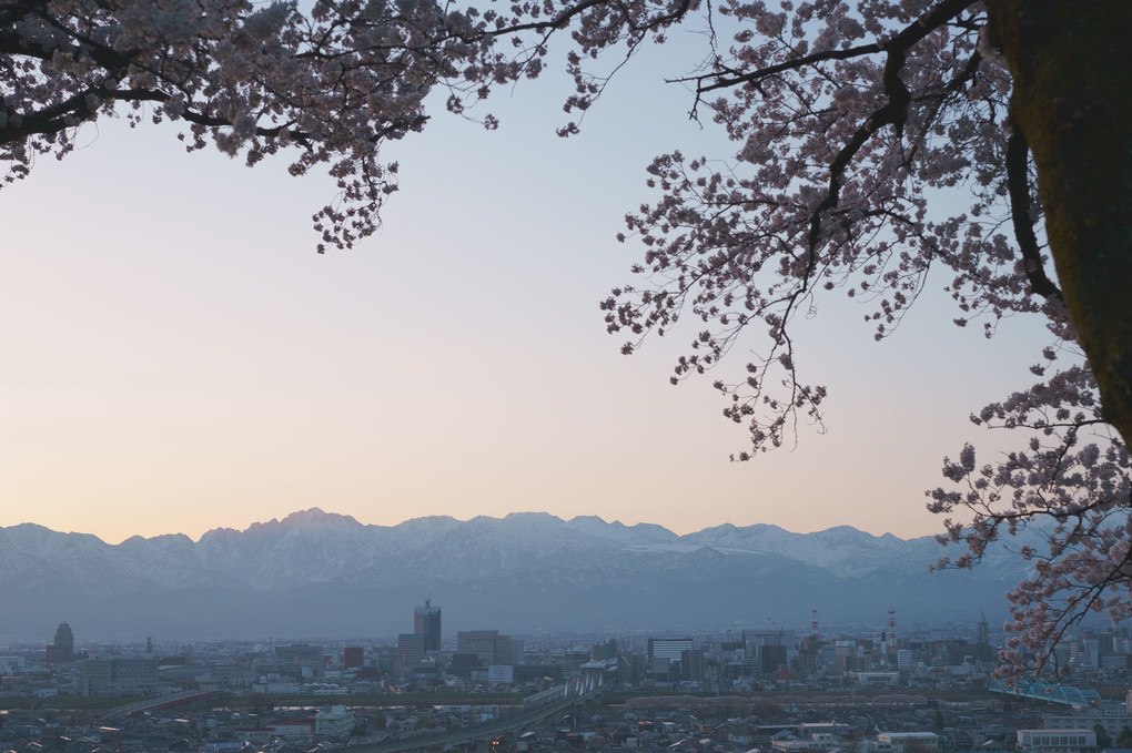 呉羽山の夜明け