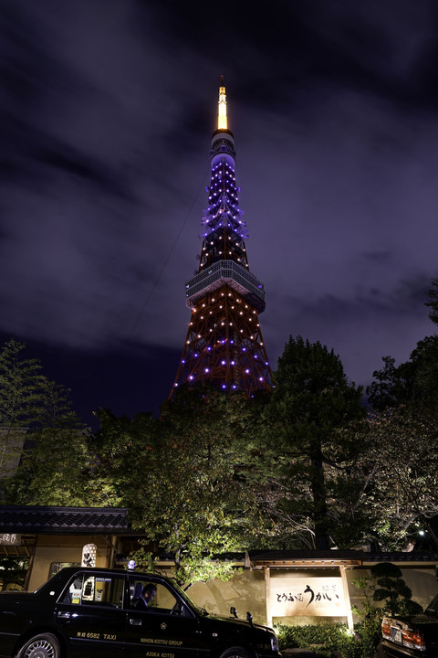 東京タワー　Viewpoint