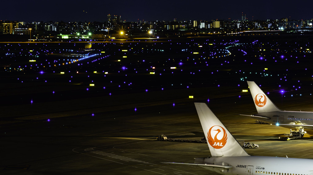 今年の初撮りは羽田空港第一ターミナルから！