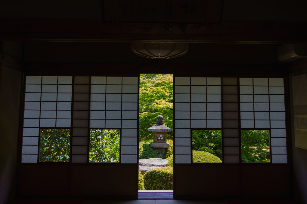 京都　新緑の泉涌寺雲龍院にて