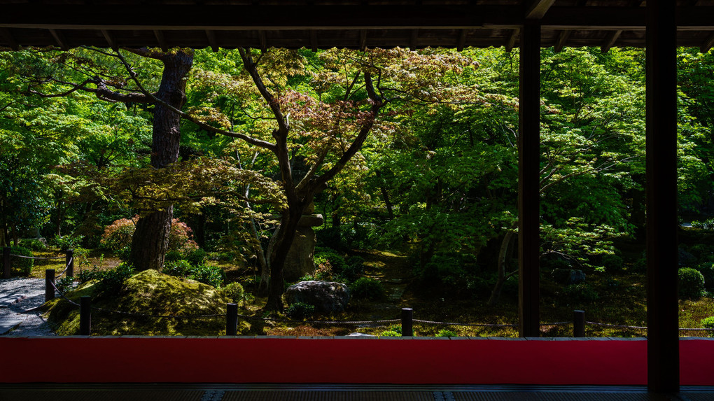 京都の旅　～圓光寺