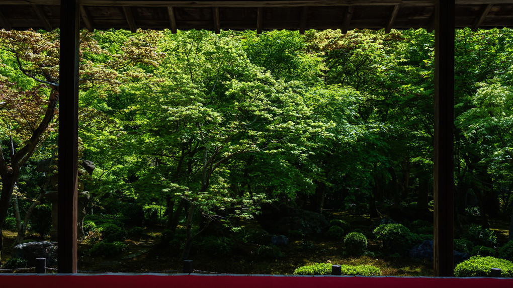 京都の旅　～圓光寺