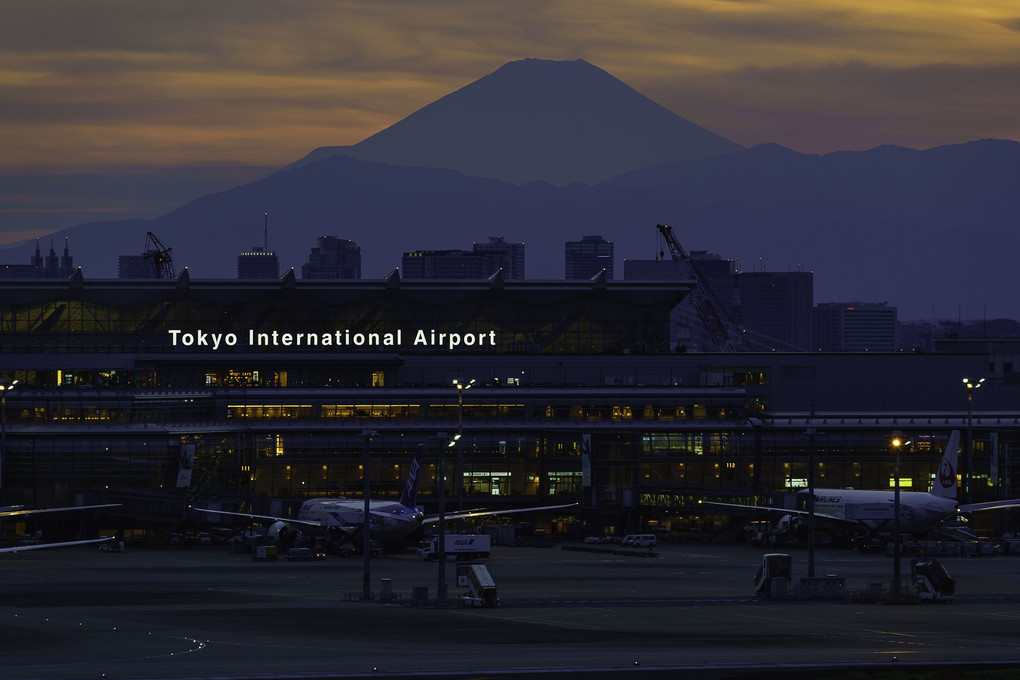 やっと撮れたね。富士山＠羽田国際空港
