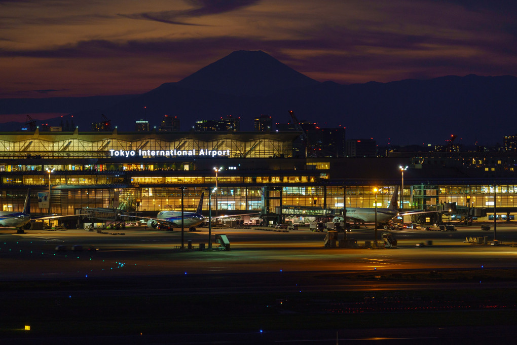 やっと撮れたね。富士山＠羽田国際空港