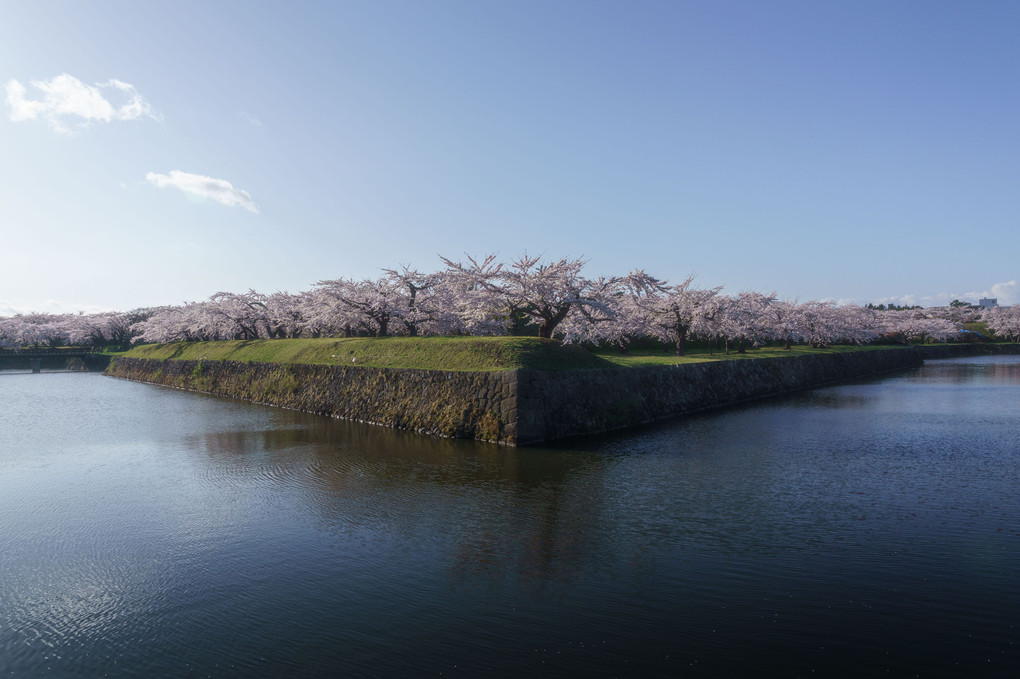 五稜郭公園にて