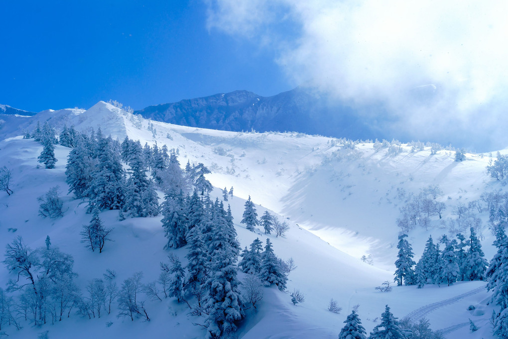 ～きらめく丘と霧氷風景　厳冬の富良野・美瑛撮影ツアー　その１　十勝岳