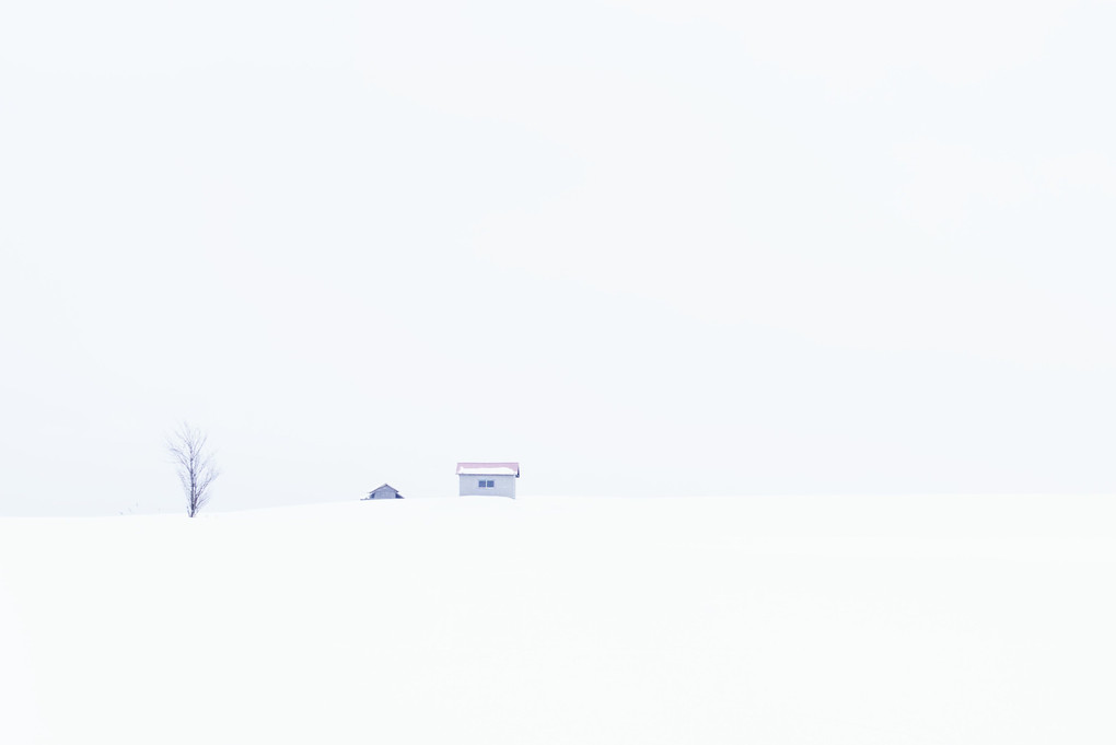 ～きらめく丘と霧氷風景　厳冬の富良野・美瑛撮影ツアーその2　メルヘン編　美瑛