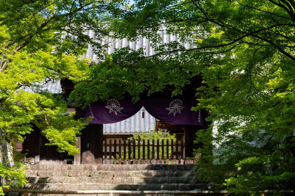 京都　～曼殊院門跡