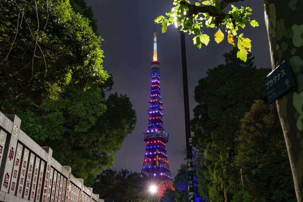 雨の日の東京タワー　日仏友好160年記念のライトアップ