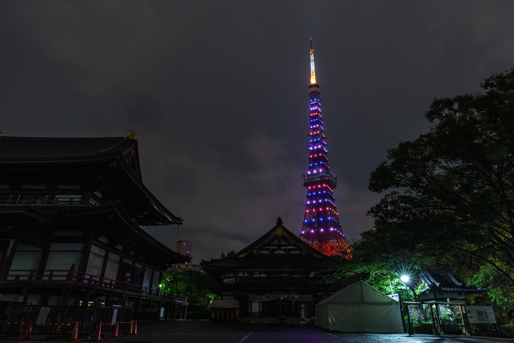 雨の日の東京タワー　日仏友好160年記念のライトアップ