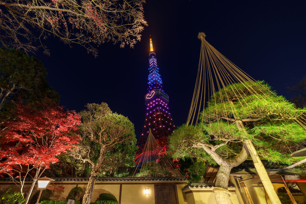 クリスマスのライトアップ　～東京タワー　
