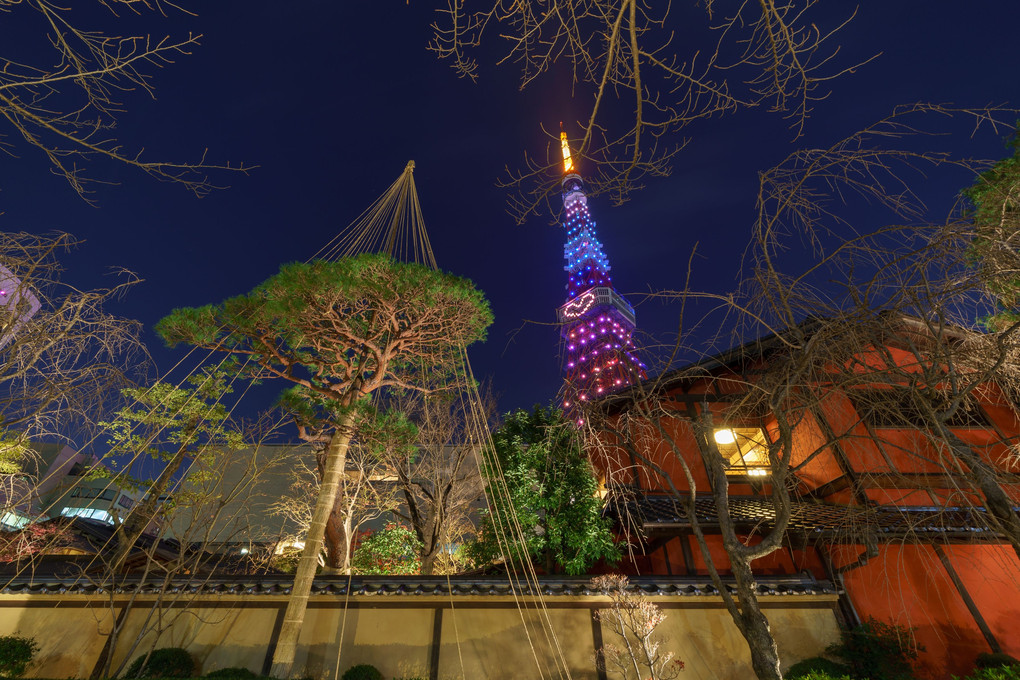 クリスマスのライトアップ　～東京タワー　
