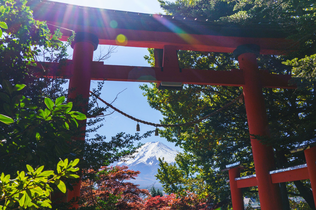 本日は晴天なり　富士五景
