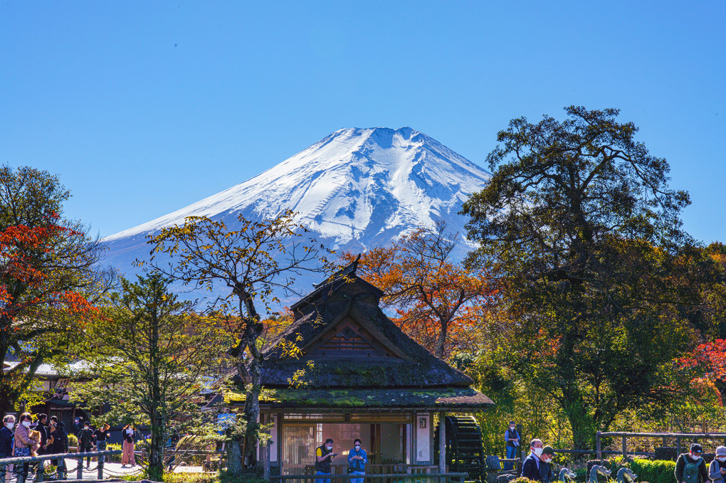 本日は晴天なり　富士五景