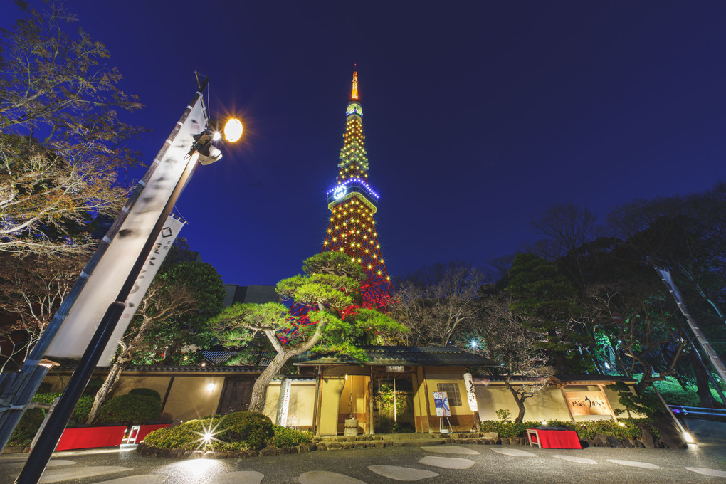 春の宵　～東京タワーライトアップ～