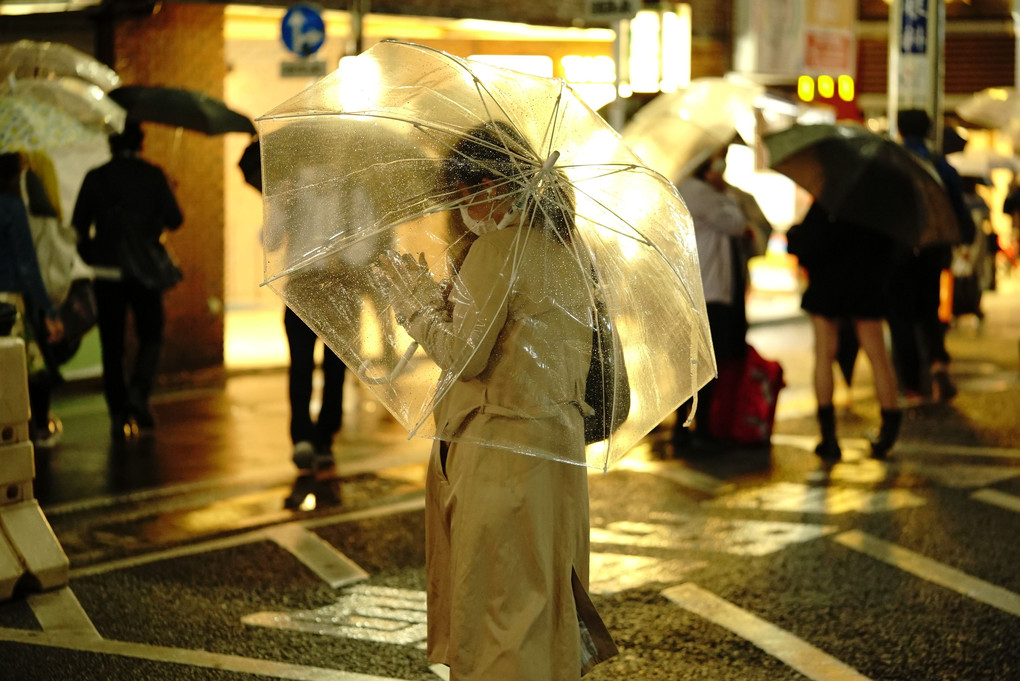 golden time of umbrella