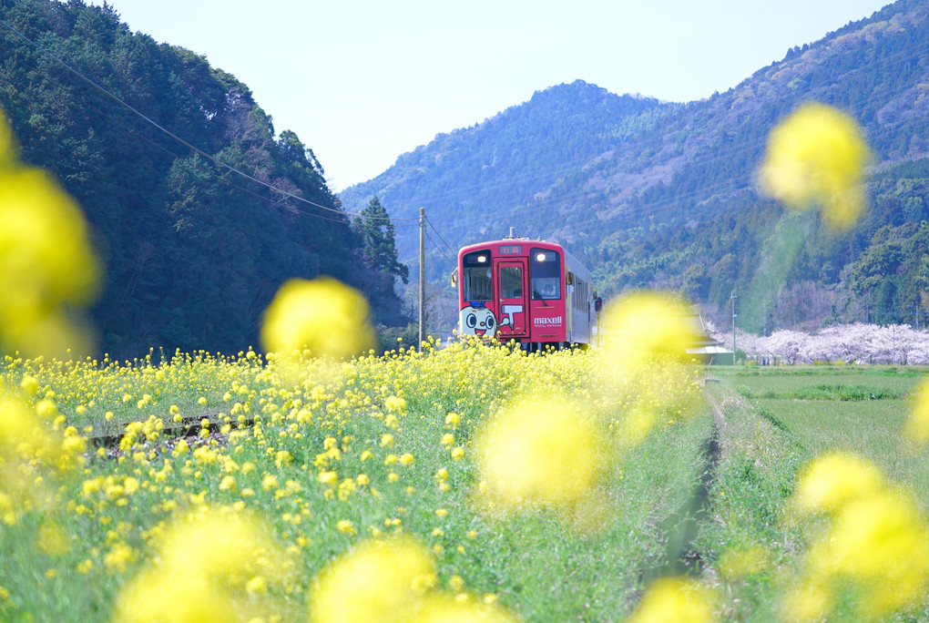 春の平成鉄道