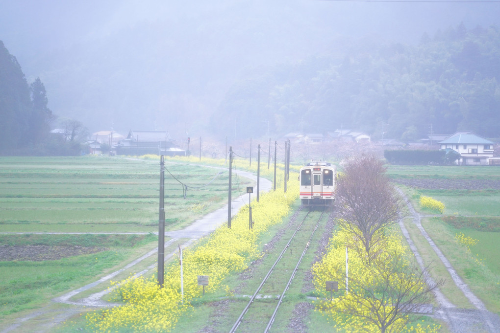 春の平成鉄道