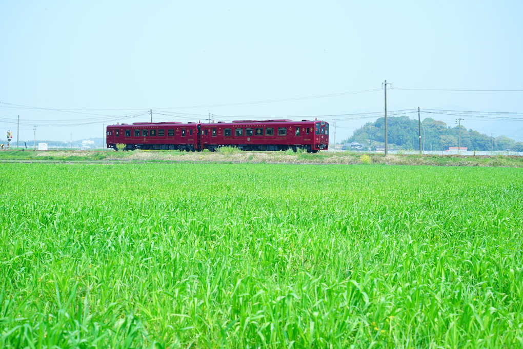 Cotocoto train