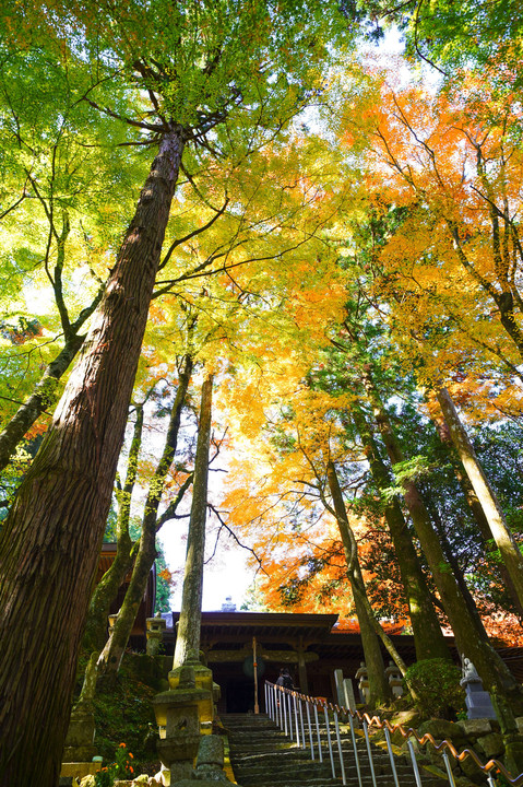 雷山千如寺大悲王院