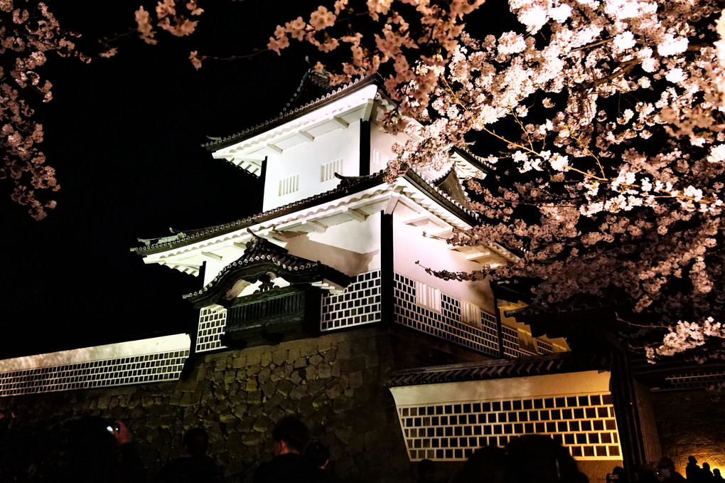 夜桜詣で