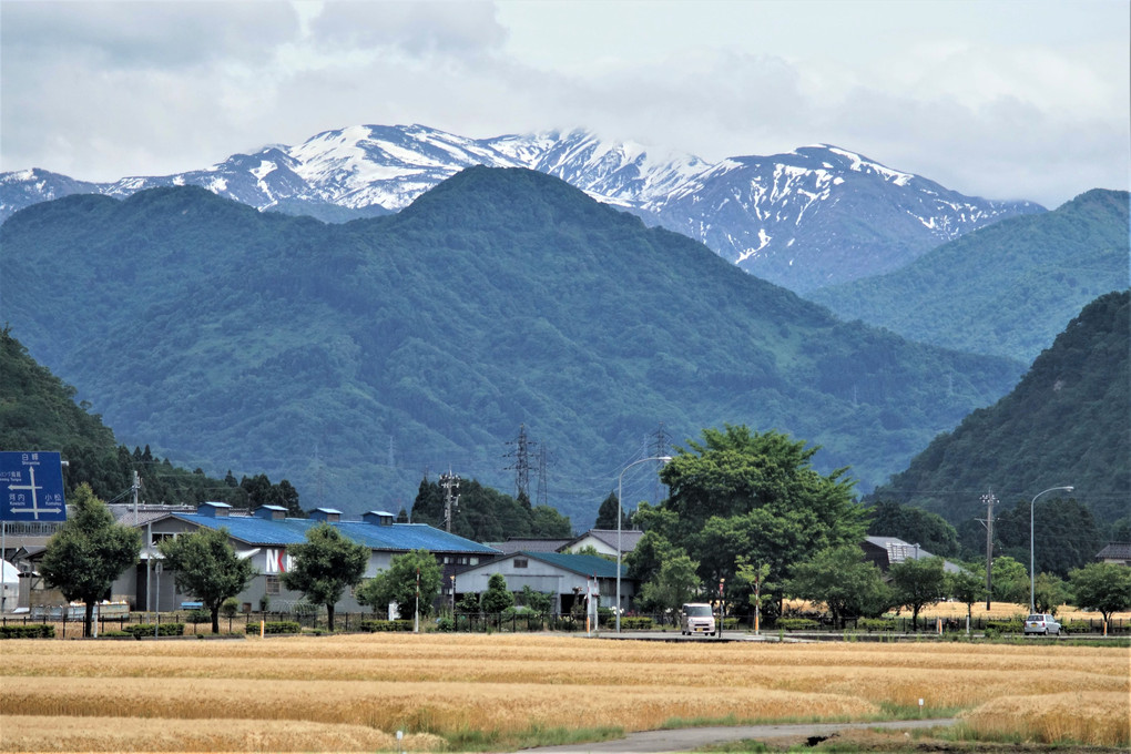 黄金の里