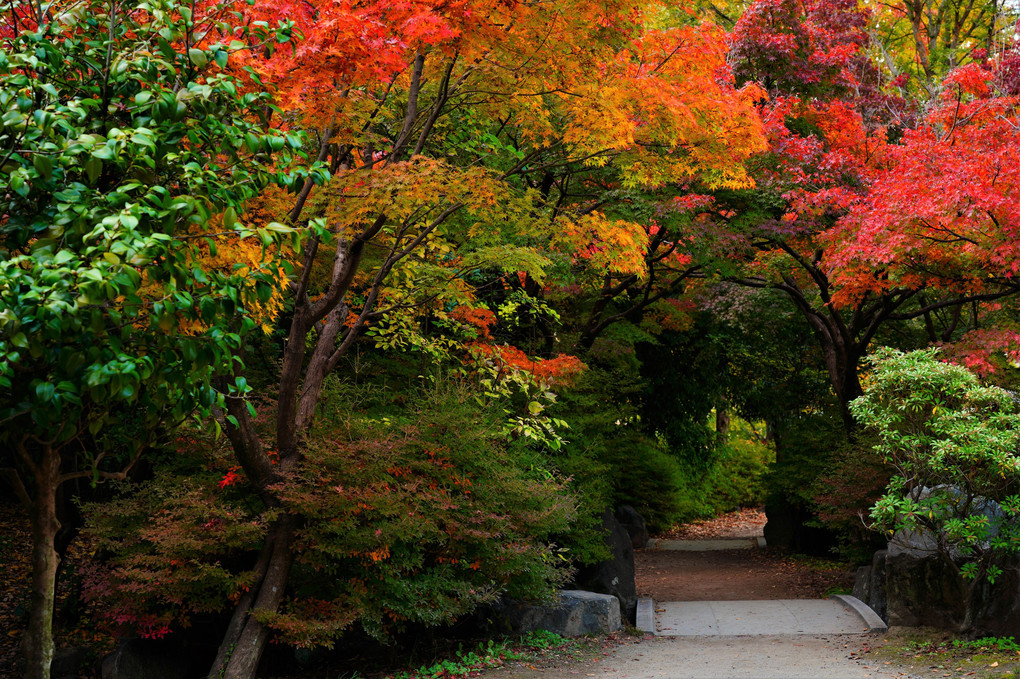 平成の日本庭園「朱雀の庭」