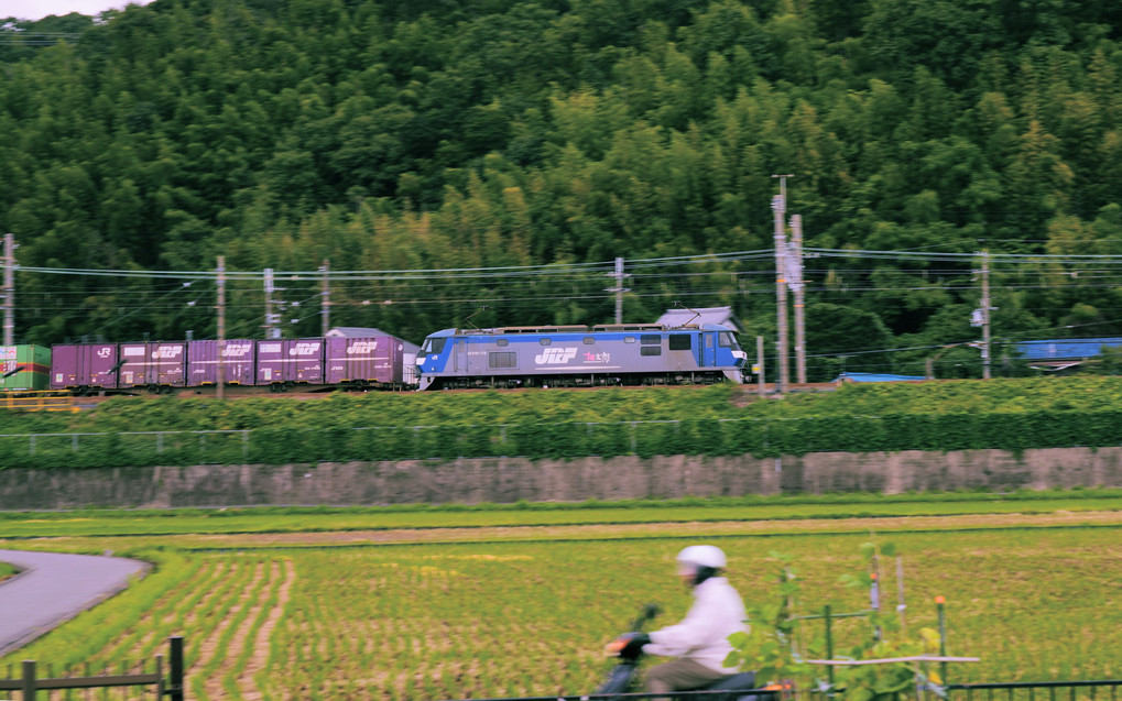 「αで撮りに行こ！鉄道写真」【ソニーショップさとうち】#シキ800#