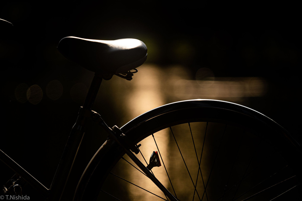 自転車と夕日と