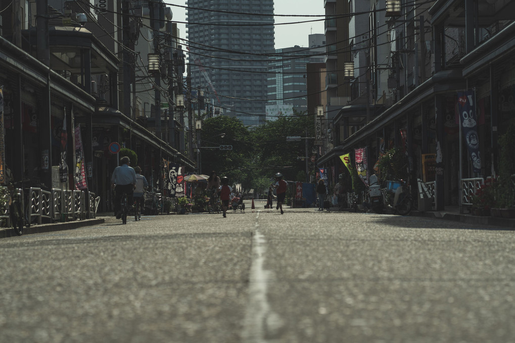 いつもの散歩道