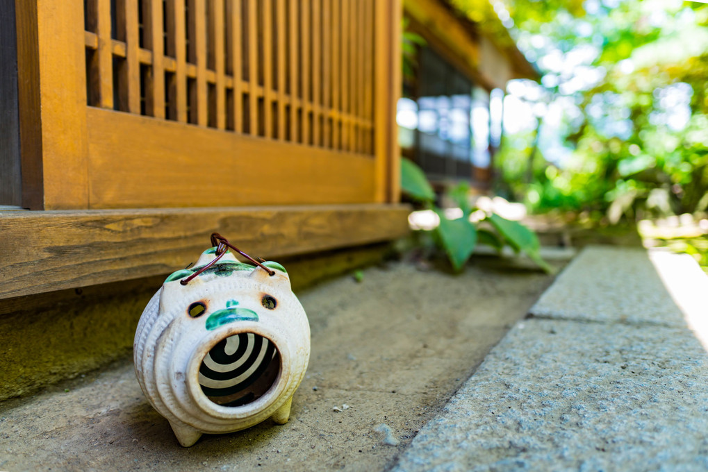 僕の夏休み