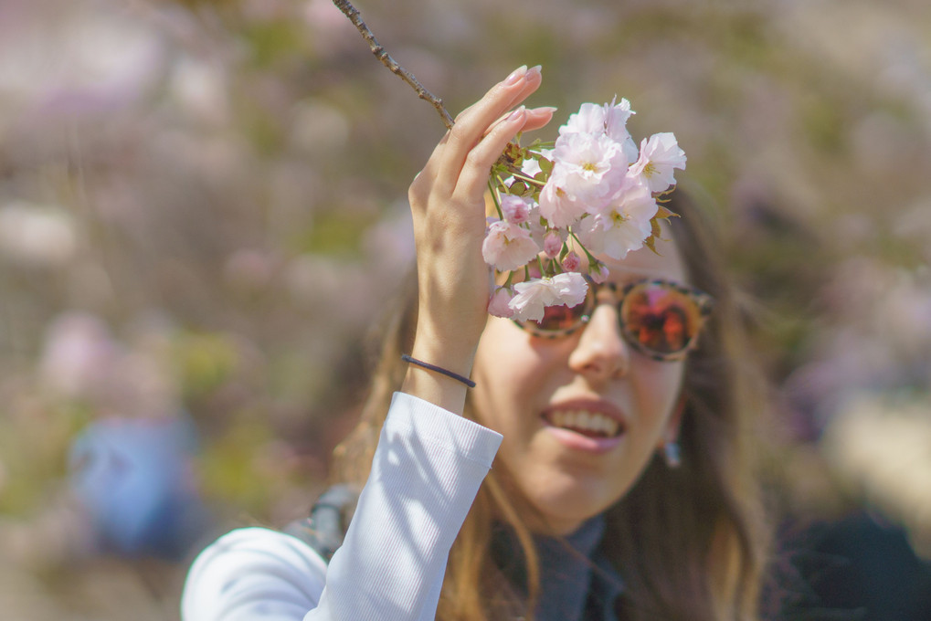 桜を楽しむ人々