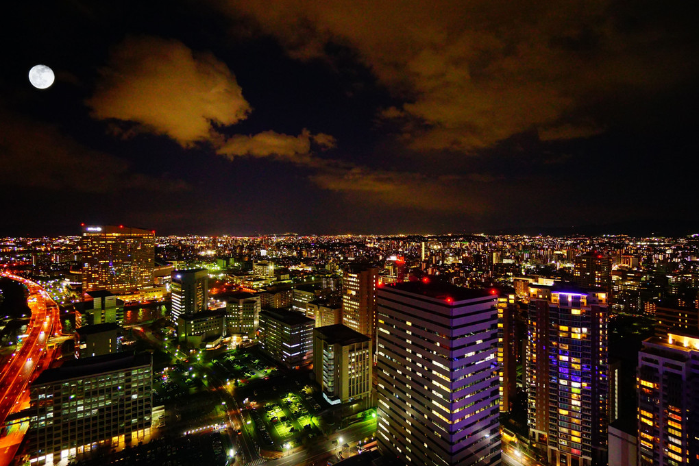 福岡タワーからの夜景