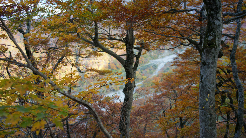 鳥取大山の紅葉と鳥取砂丘2014