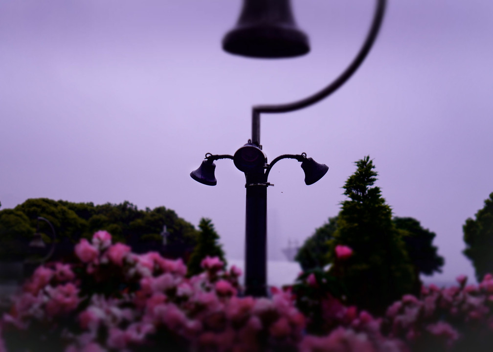 雨のお散歩photo  山下公園