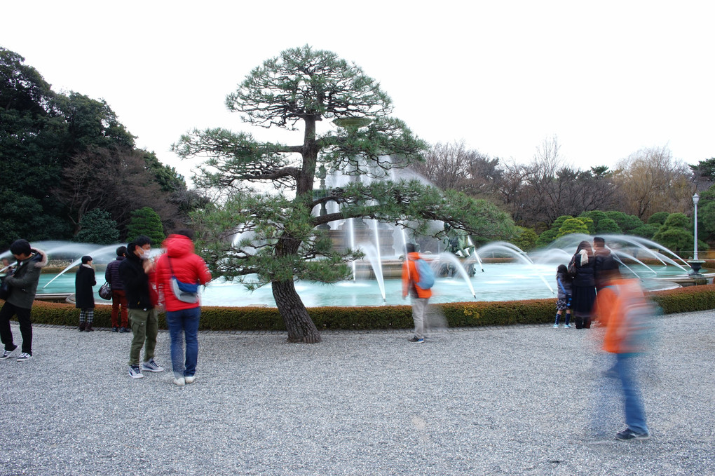赤坂迎賓館の噴水