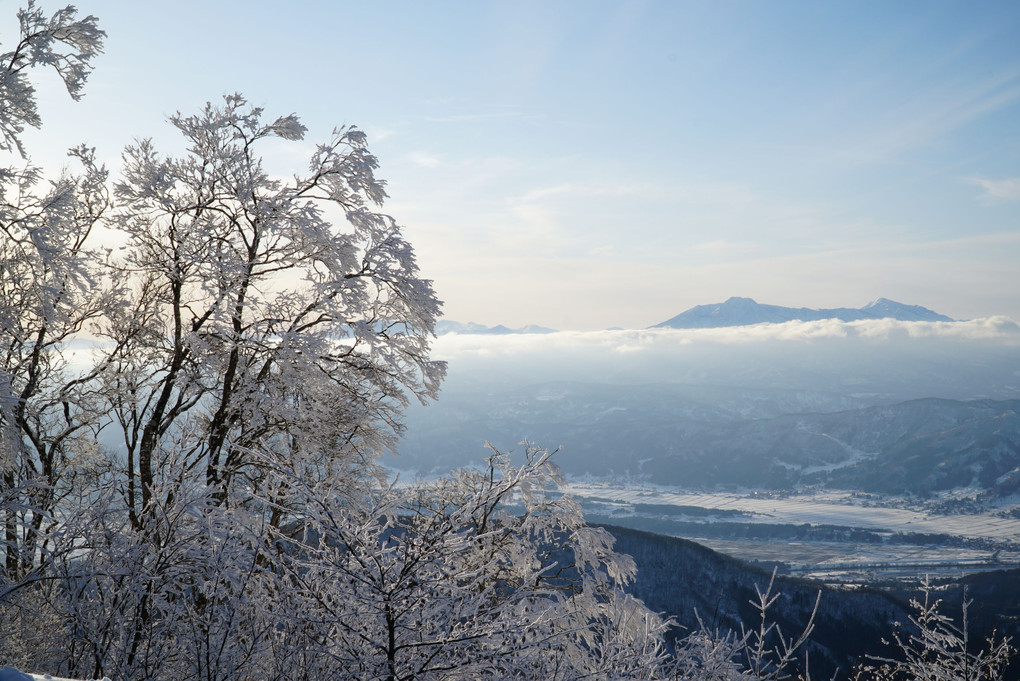 雪景色