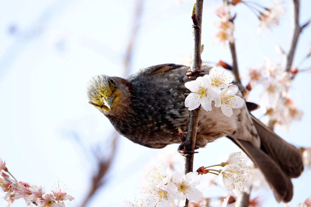 ひとり占め