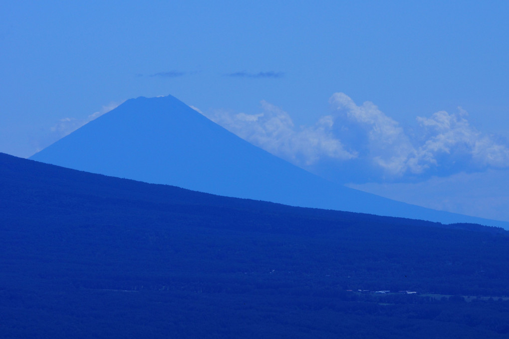 ビーナスラインから見る富士山と八島湿原