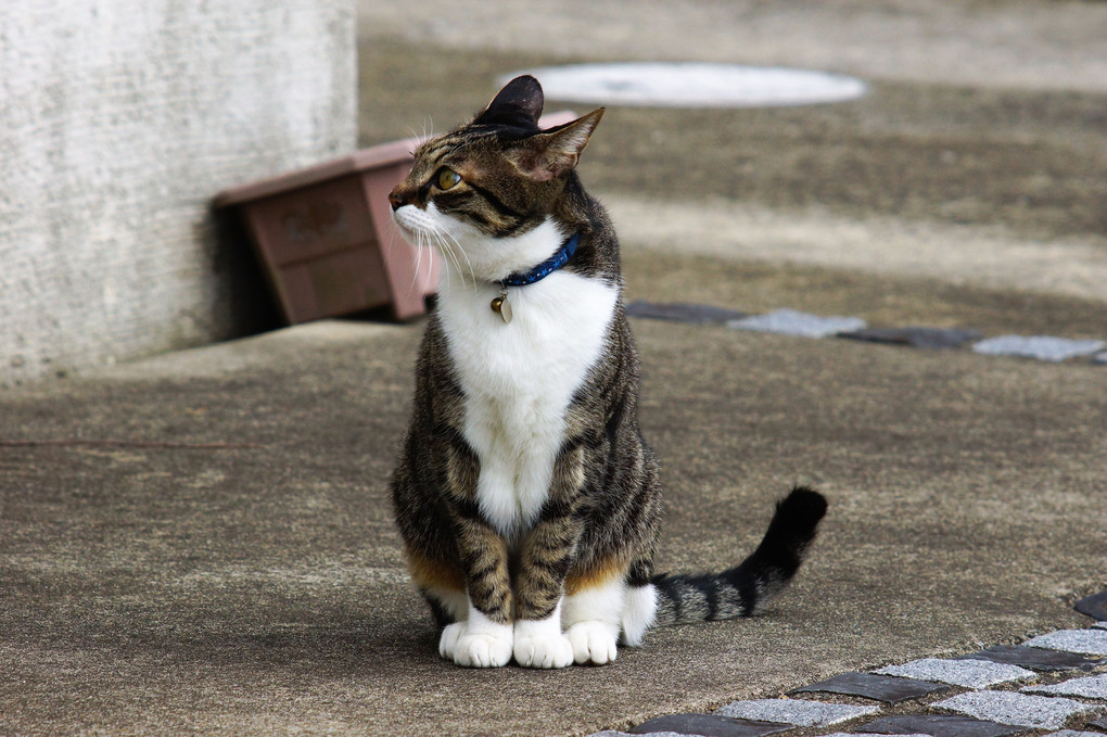 なにがあるのかな~!