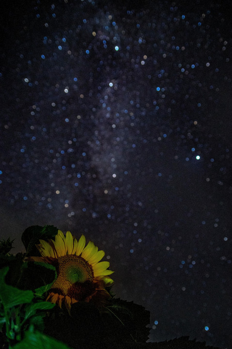 夏夜空