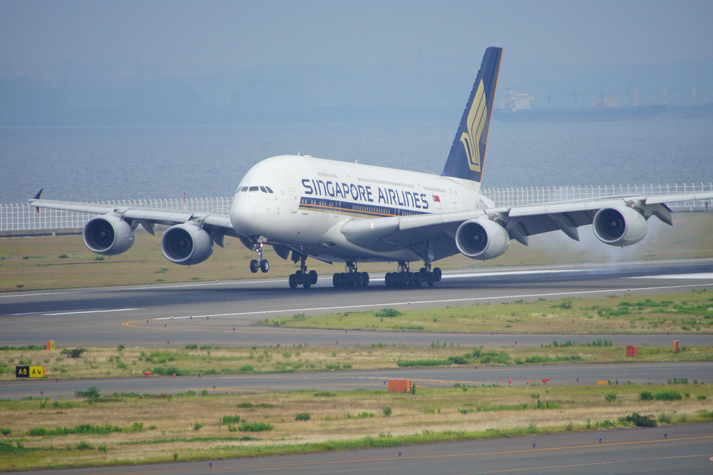 A380 in セントレア